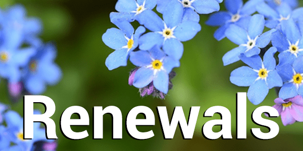 Photo of forget-me-not-flowers and the text 'Renewals.'